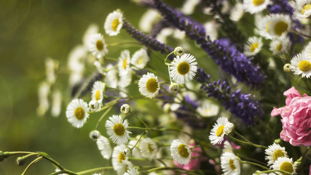 fleurs-mariage-saint-jean.png