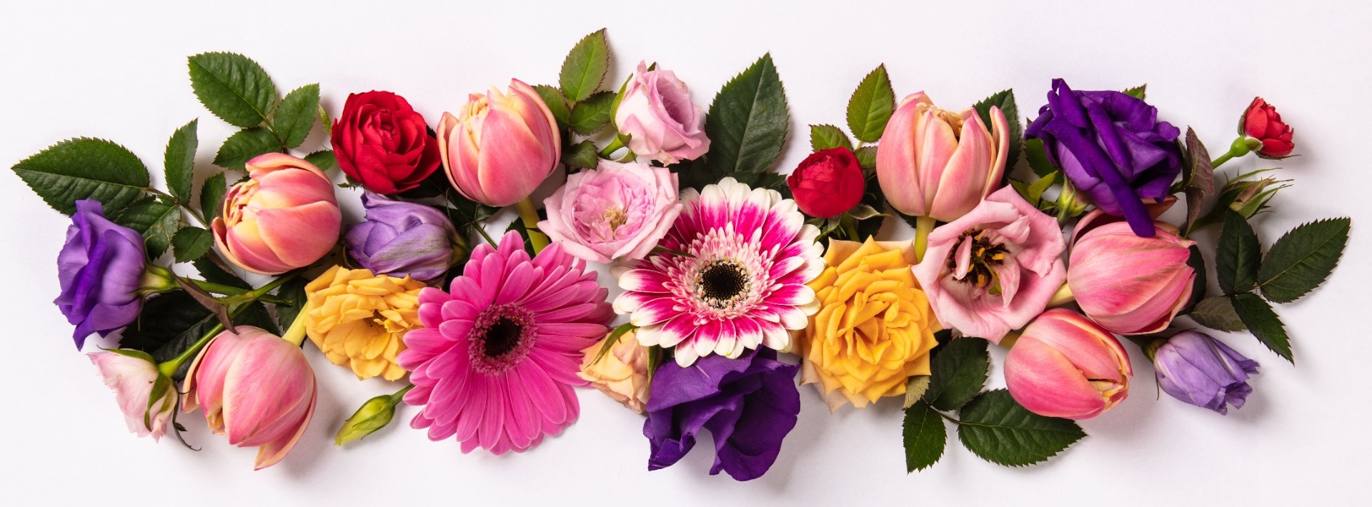 Votre artisan fleuriste à Saint Jean - le petit marché des fleurs